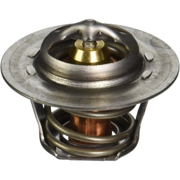 Raypak 006719F Unitherm Governor Capron