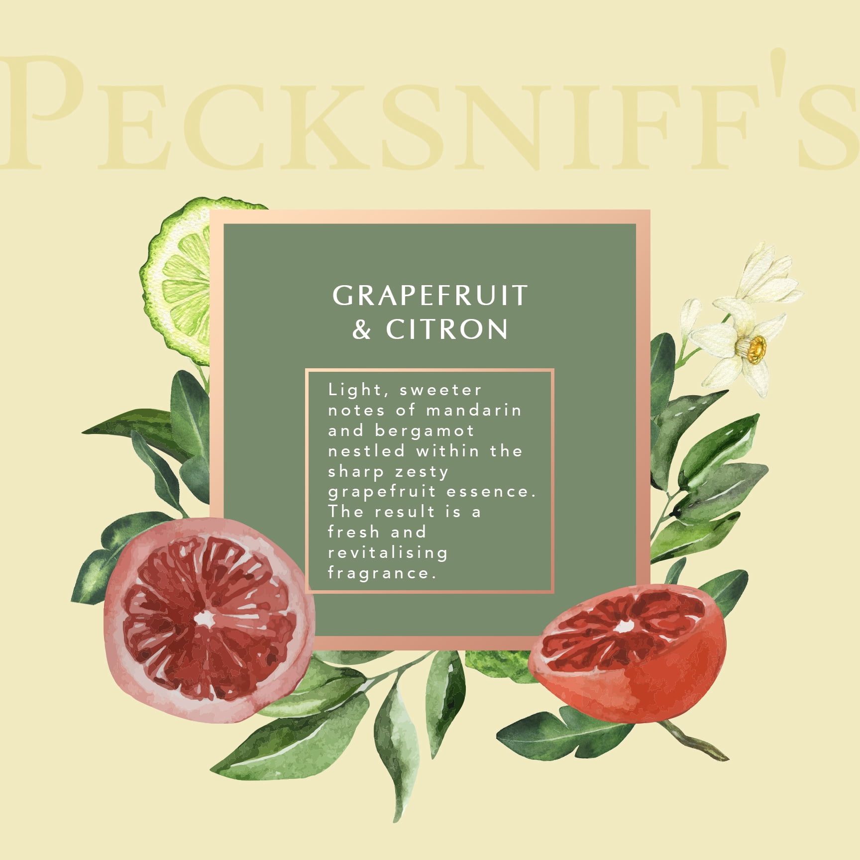 Pecksniffs Grapefruit & Citron Moisturizing Hand Wash and Hand Lotion in a Black Mesh Caddy | 300ml/10.14 Fl oz