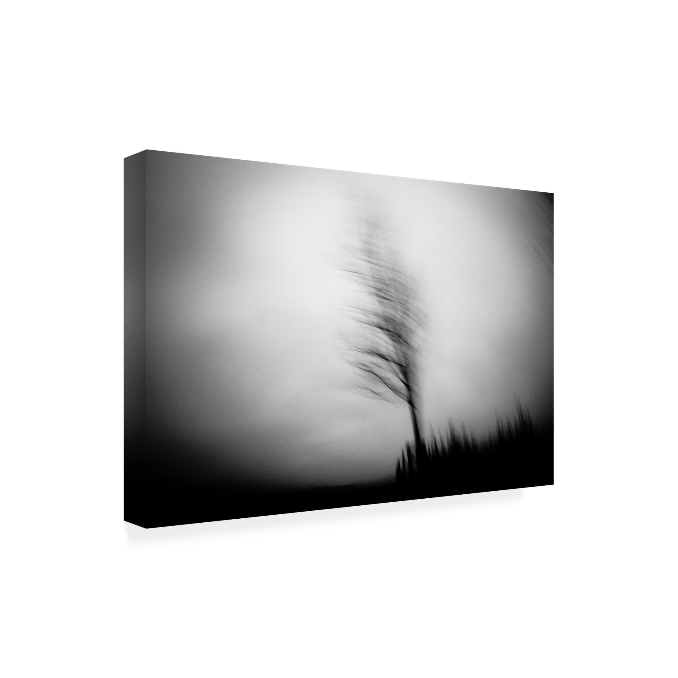 Canvas Wall Art - Dorit Fuhg 'Shadow Dancer' Wall Art for Living Room, Bedroom, or Office D?cor by Trademark Fine Art - 47 x 30 Inches