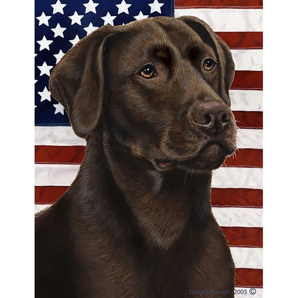 Labrador Chocolate Best of Breed Patriotic II Garden Flags Walmart