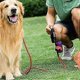 thumbnail image 2 of 1.5M Dog Leash, High Quality Strong Nylon Dog Leash with Soft Padded Handle, 2 of 5