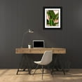 thumbnail image 3 of Navas, Emily 25x32 Black Ornate Wood Framed with Double Matting Museum Art Print Titled - Emerald Palm, 3 of 4