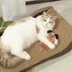 thumbnail image 3 of Juguete Interactivo con Forma de Perro y Gato, Resistente a Los Mordiscos, de Plástico, Divertido para Limpiar Los Dientes., 3 of 5