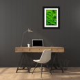 thumbnail image 3 of Engelbrecht, Lisa S. 17x24 Black Ornate Wood Framed with Double Matting Museum Art Print Titled - Hurricane Plant, 3 of 4