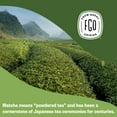 thumbnail image 2 of FGO Matcha + Green Tea Bags, Organic, Eco-Conscious (100 Count), 2 of 7