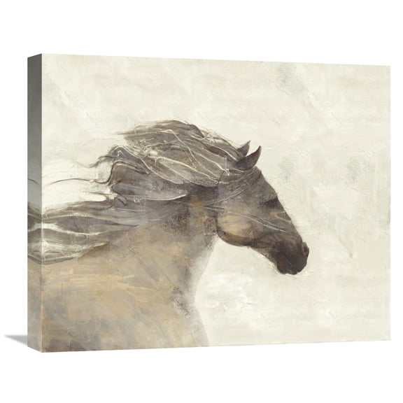Global Gallery Albena Hristova 'Into the Wind Ivory Reversed' Canvas Wall Art