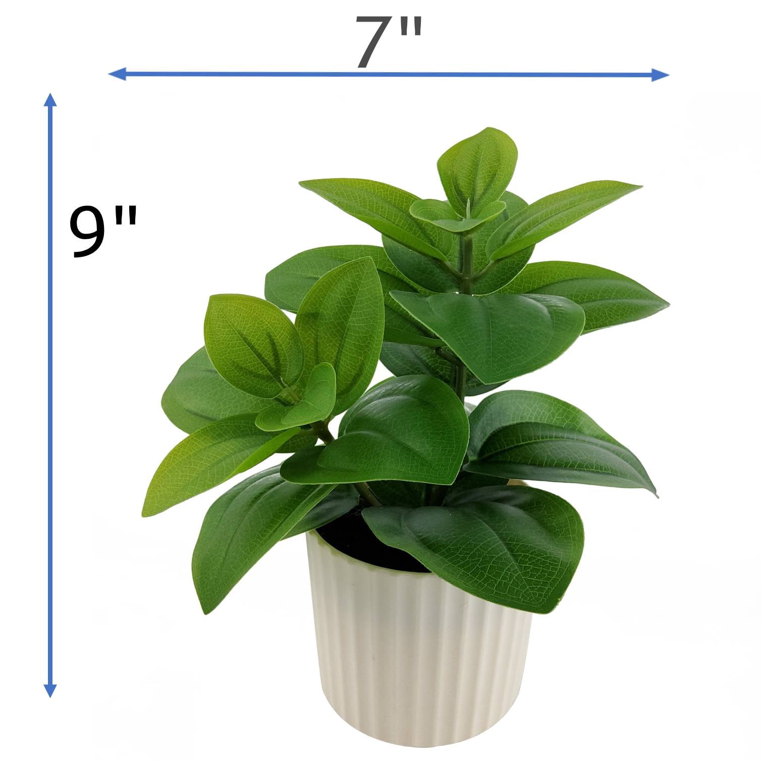 Mainstays 9 in Artificial Peperomia Plant in White Pot, Green Color, 0.5lb Weight.