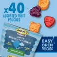 thumbnail image 2 of Mott's Fruit Flavored Snacks, OIF8&nbsp;Animals Assorted Fruit, Gluten Free Snack, Family Pack, 40 Ct, 32 oz, 2 of 3
