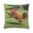 thumbnail image 2 of Ahgly Company Animaux Poulet Coussin Décoratif d'Intérieur, 18 Po X 18 Po, 2 of 6