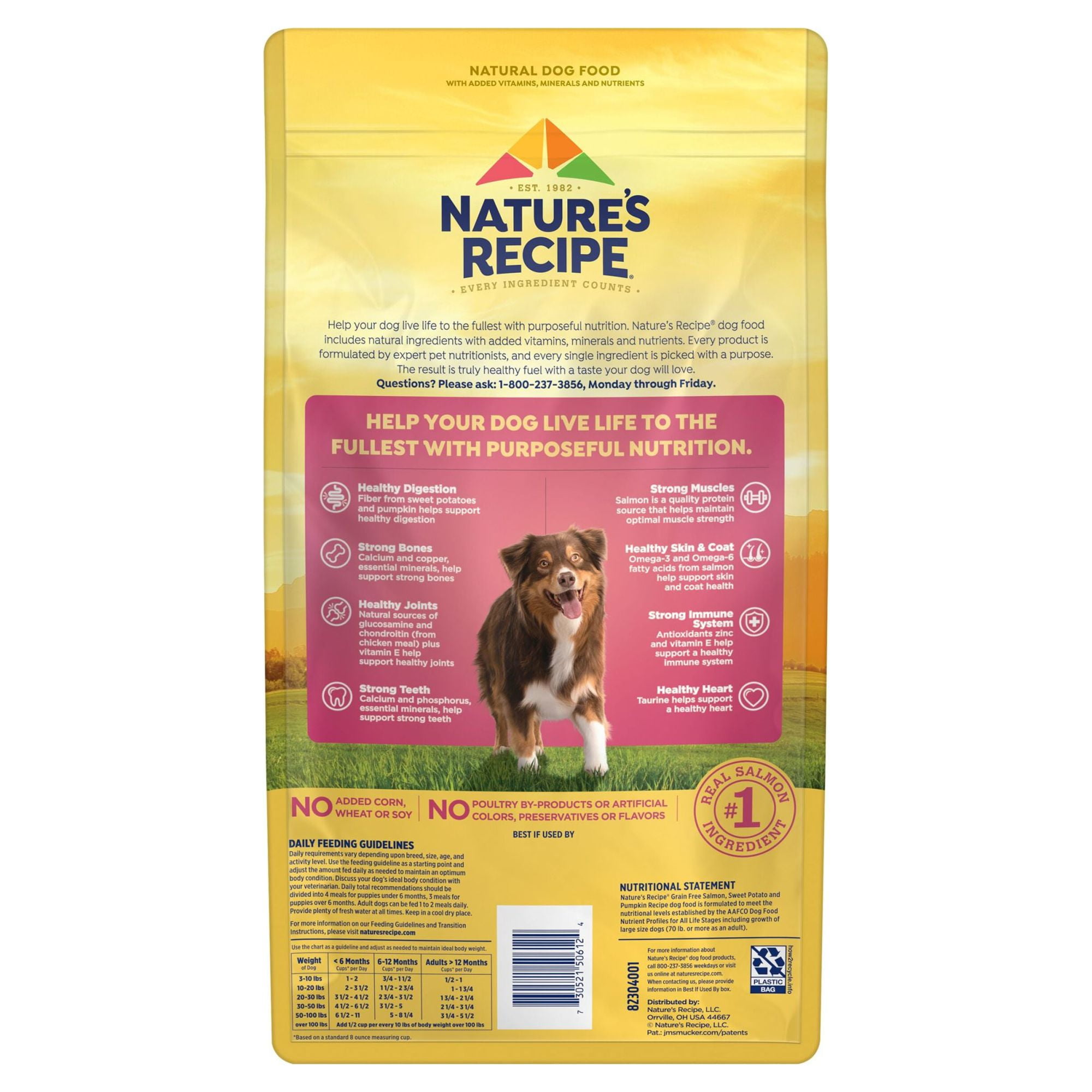 Nature’s Recipe Grain Free Salmon, Sweet Potato & Pumpkin Recipe, Dry Dog Food, 24 lb.