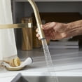 thumbnail image 5 of Rivana Semi-Pro Pull-Down Dual-Spray Kitchen Faucet - Satin Gold, 5 of 5