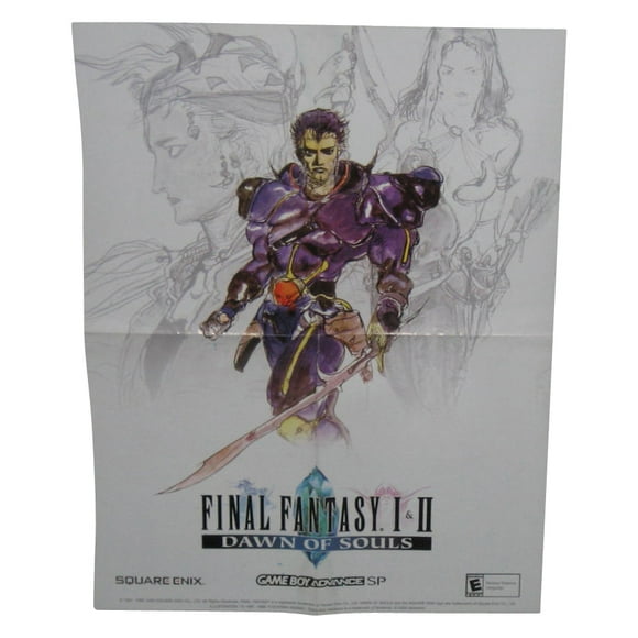 Final Fantasy I & II Dawn of Souls Nintendo Gameboy Advance SP Giant Video Game Poster