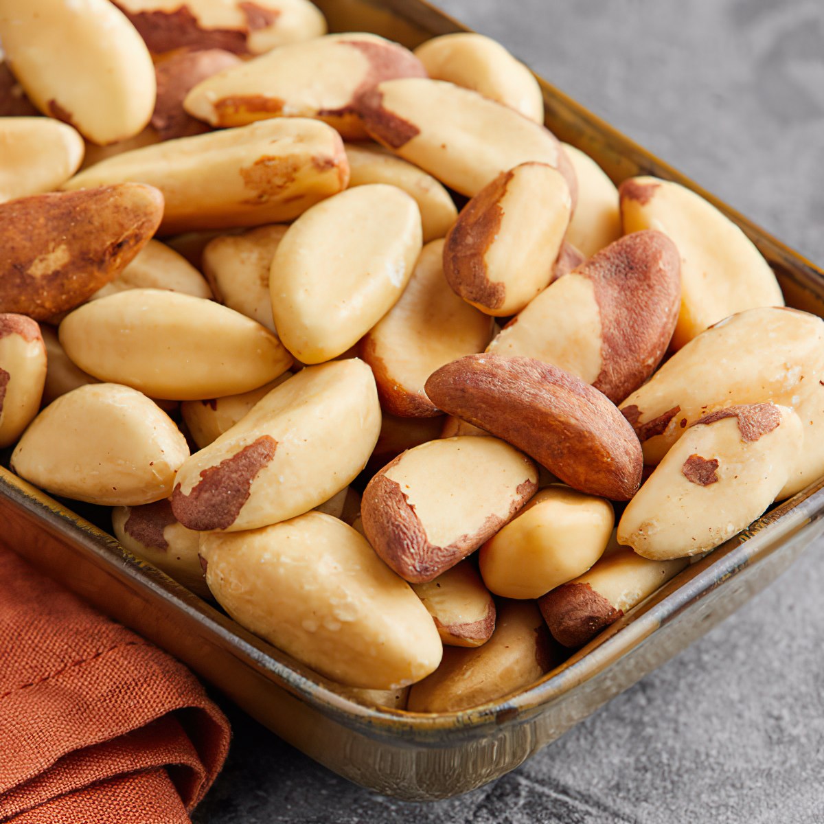 Bulk Brazil Nuts 10 Pound Wholesale Box