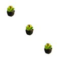 thumbnail image 4 of Toystoory Bonsái en maceta de cerámica negra suculenta verde Artificial, decoración de , planta de imitación para jardín, decoración Type1 NO1, 4 of 6