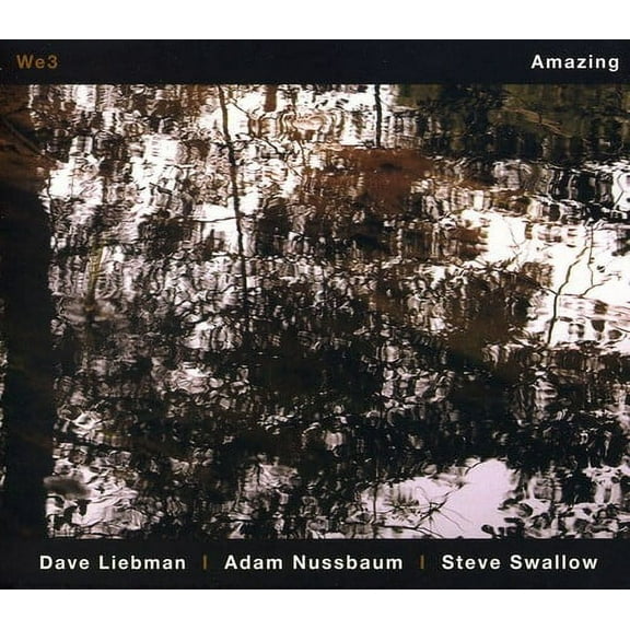 Steve Swallow - Amazing - Jazz - CD