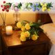 thumbnail image 1 of Ramo de flores de claveles artificiales 7 tallos florales de seda sintética - Rojo, rosa, blanco, azul, amarillo - 15,8 pulgadas, decoración realista de mesa, centros de mesa para bodas, 1 of 6