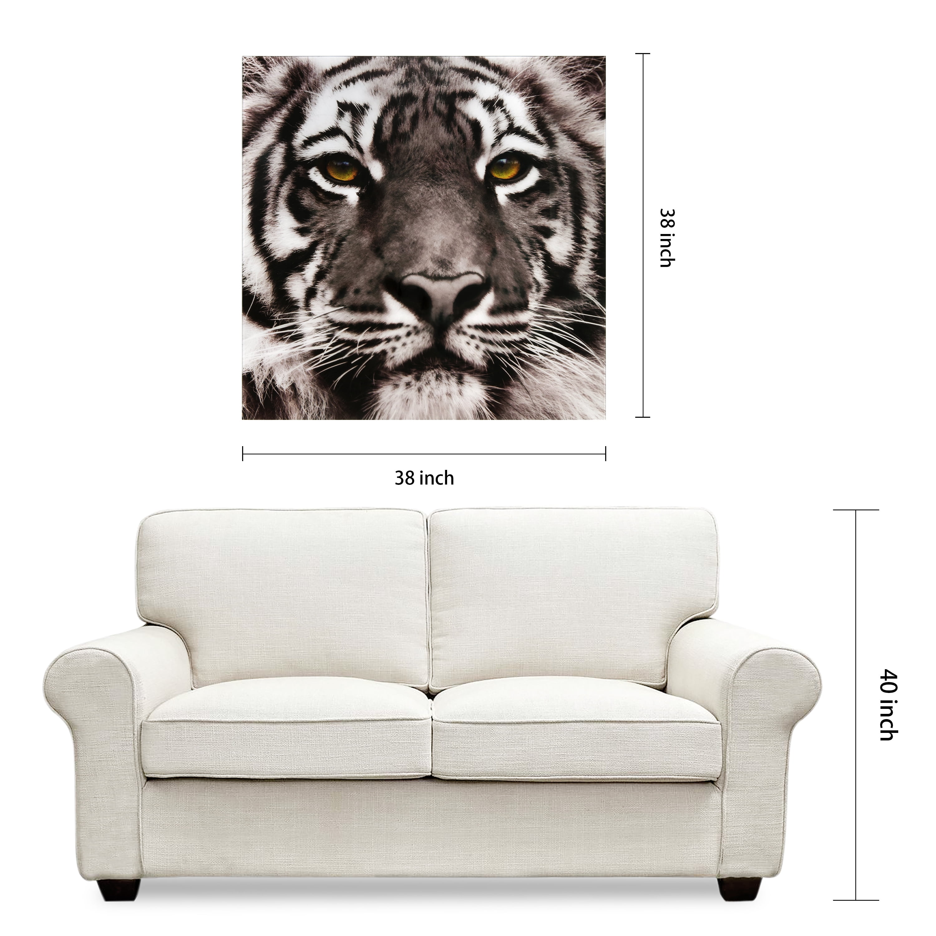 Empire Art Direct Eye of the Tiger Frameless Free Floating Tempered Glass Panel Graphic Wall Art, 38" x 38" x 0.2", Ready to Hang