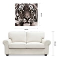 thumbnail image 2 of Empire Art Direct Eye of the Tiger Frameless Free Floating Tempered Glass Panel Graphic Wall Art, 38" x 38" x 0.2", Ready to Hang, 2 of 9