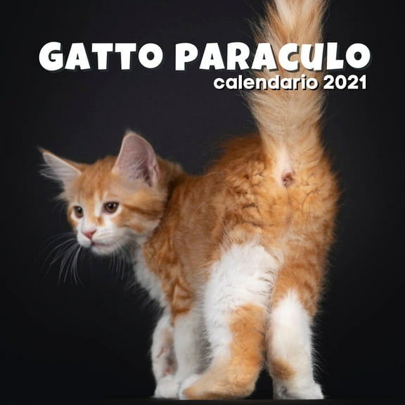 Gatto paraculo - calendario 2021: Un regalo divertente per adulti, uomini, donne, amici che amano i gatti Natale e Capodanno: da parete o da scrivania (Paperback)