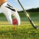 thumbnail image 4 of Pelotas de golf Colorido Pequeño Pequeño Golf Portátil Práctica Pelota flotante para entrenadores Practicantes Usuarios Adultos Red 10 Piezas kenally OD003040-04, 4 of 7