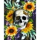 thumbnail image 1 of Kit de pintura al óleo de calavera en girasol por número imagen de dibujo sin marco DIY para niños FLhrweasw Nuevo, 1 of 9