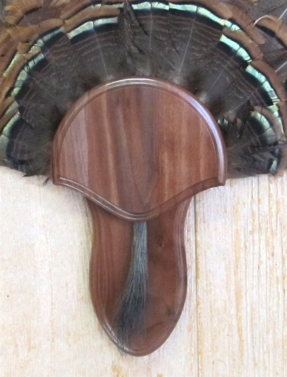 The Taxidermists' Walnut Turkey Fan Mounting Kit 02