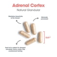 thumbnail image 5 of ARG Adrenal Cortex - Supports Healthy Stress Response & Metabolism - Delivers 100 mg Freeze-Dried Bovine Adrenal Cortex Tissue - 100 Servings - 100 Capsules, 5 of 8