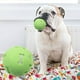 thumbnail image 3 of Pisexur Suministros para mascotasDog Teeth Toy Dog, Pet Daily Supplies, Pet Toy Ball, Golden Ball Hound,Hollow Shape Throwing Game Ballpara perros, gatos y animales., 3 of 6