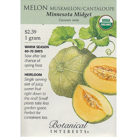 Organic Minnesota Midget Muskmelon/Cantaloupe Seeds - 1 g