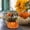 C, variant on sruoe Halloween Ornaments, 7pcs Thanksgiving Simulation Pumpkin Set Ornaments Festival Foam Large Pumpkin Model Decoration Props, Portable Decoration Ornaments for Party Home