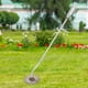 thumbnail image 2 of Herramienta de Eliminación de , Deshierbe Manual, Desmalezadora Manual para Césped de Bonsái, Patio Trasero, 2 of 4