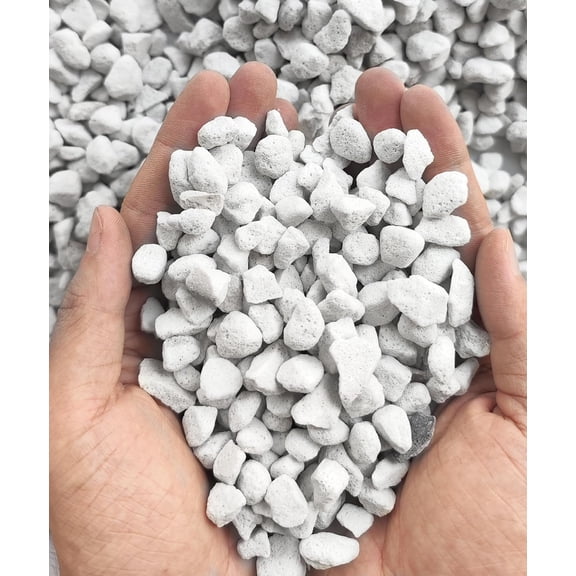 10QT Organic Perlite Horticultural Soil Amendment for Plants and Enhanced Drainage Enhanced