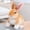 G2, variant on Rabbit Bunny Stuffed Animal, Cute Rabbit Plushies for Girls and Boys, Soft and Huggable Bunny Stuffy Stuffed Animals for Kids Theme Party Favors, Birthday Gifts, Easter Home Decor