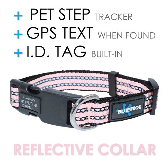 Gps Cat Collar
