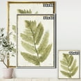 thumbnail image 2 of Simple Forest I - Floral & Botanical Framed Canvas, 2 of 3