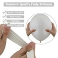 thumbnail image 4 of relayinert Matte Balloon New, 4 of 9