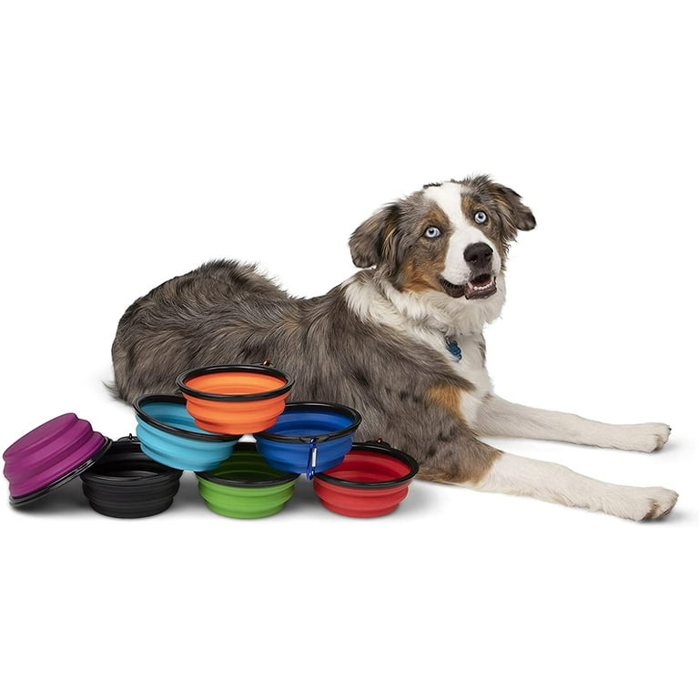  Collapsible Silicone Dog Bowl - Portable - Luxury Pop-Up Pet Food and Water Dish - Great for Hiking, Camping, & Travel - Foldable Dog Bowl with