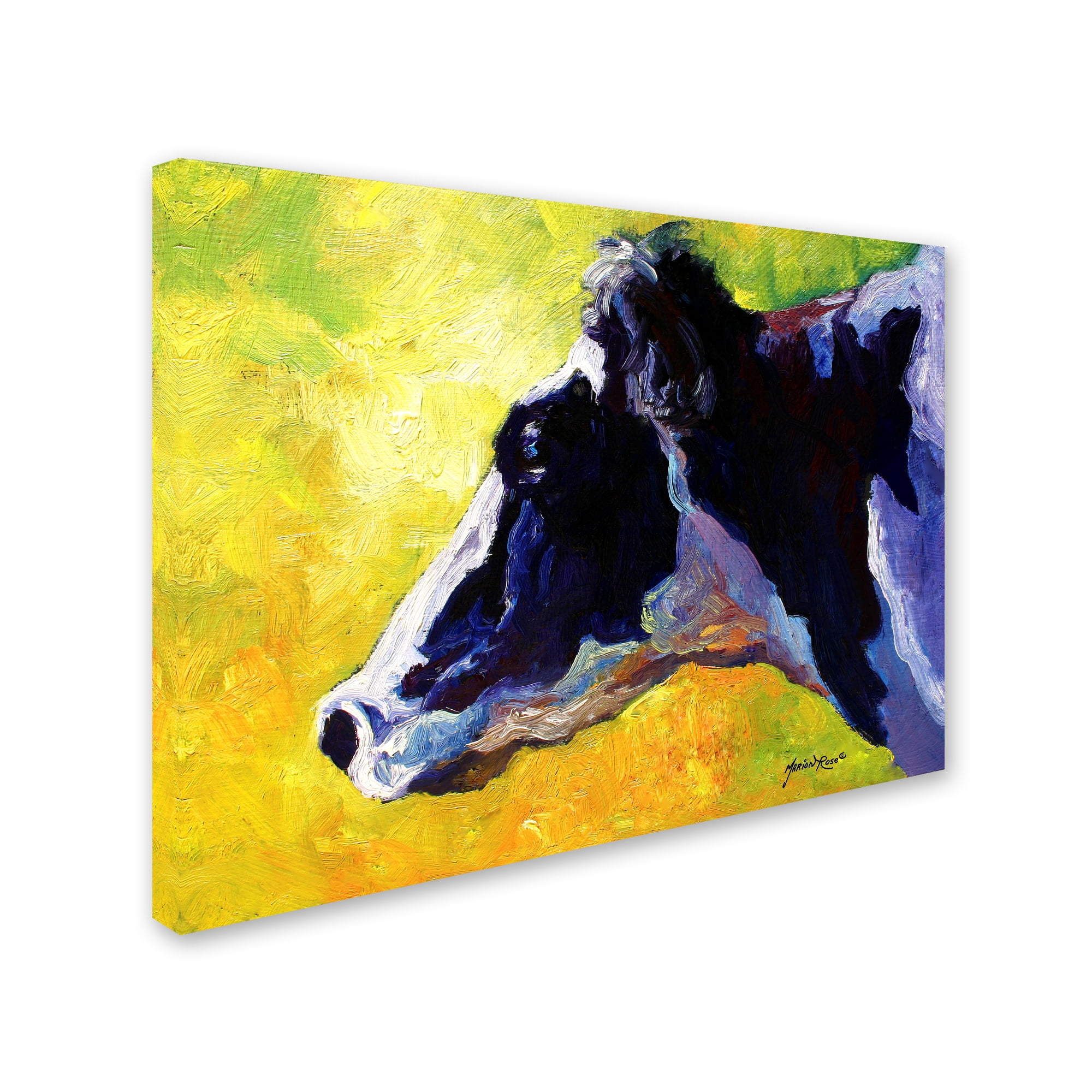 Trademark Fine Art 'Holstein' Canvas Art by Marion Rose