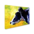 thumbnail image 2 of Trademark Fine Art 'Holstein' Canvas Art by Marion Rose, 2 of 3