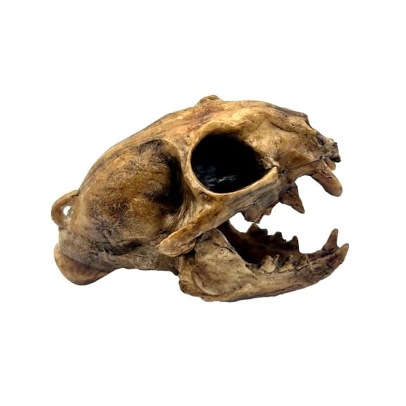 Aztec Death Whistle - Apex Predator