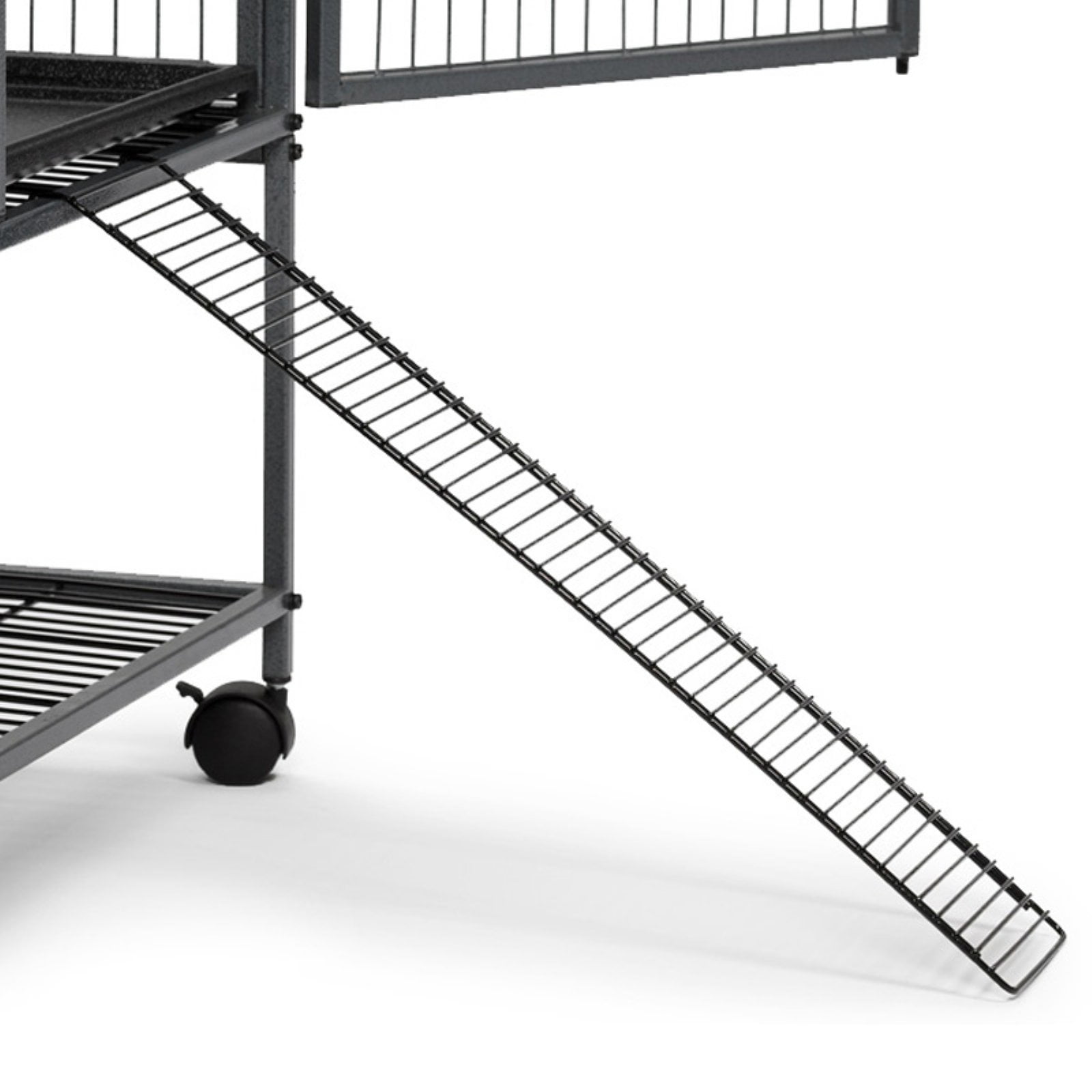 Ferret Nation Exterior Ramp
