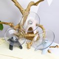 thumbnail image 2 of Hamster Exercise Wheel Silent Non-slip Flying Saucer Jogging Running Spinner For Hamsters Gerbils Mice Hedgehog, 2 of 9