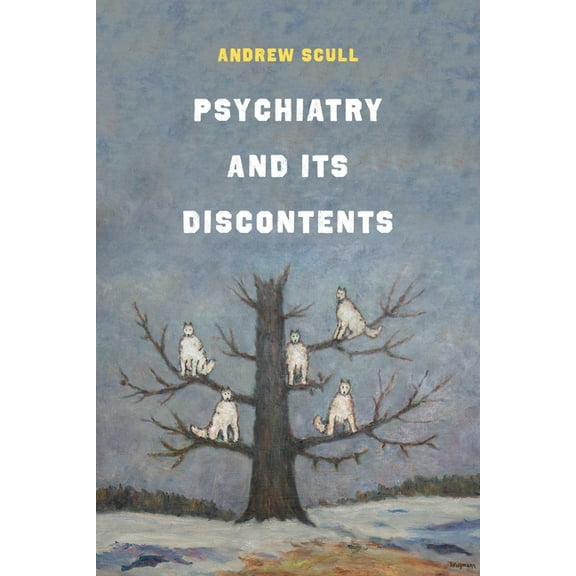 Psychiatry and Its Discontents, (Paperback)