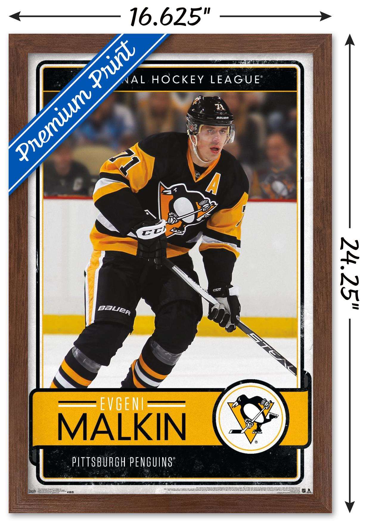 NHL Pittsburgh Penguins - Evgeni Malkin 16 Wall Poster, 14.725" x 22.375", Framed