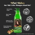 thumbnail image 4 of Champu Herbishh para cabello gris - Champu para tenir el cabello - Colorea el cabello en minutos - Dura hasta 2-3 semanas - 500 ml - Tinte 3 en 1 - |, 4 of 8