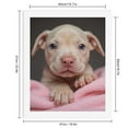 thumbnail image 2 of Paint by Numbers Kit for Adults, Cute Puppy Pink Blanket Paint by Numbers, Easy Paint by Numbers Kit for Adults Beginner, DIY Adult Paint by Number Kits on Canvas, Home Decor, 2 of 7