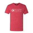 thumbnail image 2 of Grey Sloan Grey's Anatomy Pop Male Premium Tri Blend T-Shirt, Vintage Red, 2XL, 2 of 3