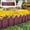 Red, variant on PLPPYFS Lightweight & Flexible Plastic Edging Garden Picket Fence, Insert Lawn Picket Fence Garden Border Decorative Landscape Lawn Flowerbed Border Path Panel for Landscape Path Plant (22.8x7 in)