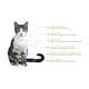 thumbnail image 3 of Nupec felino urinary management gato 3 kg, 3 of 4