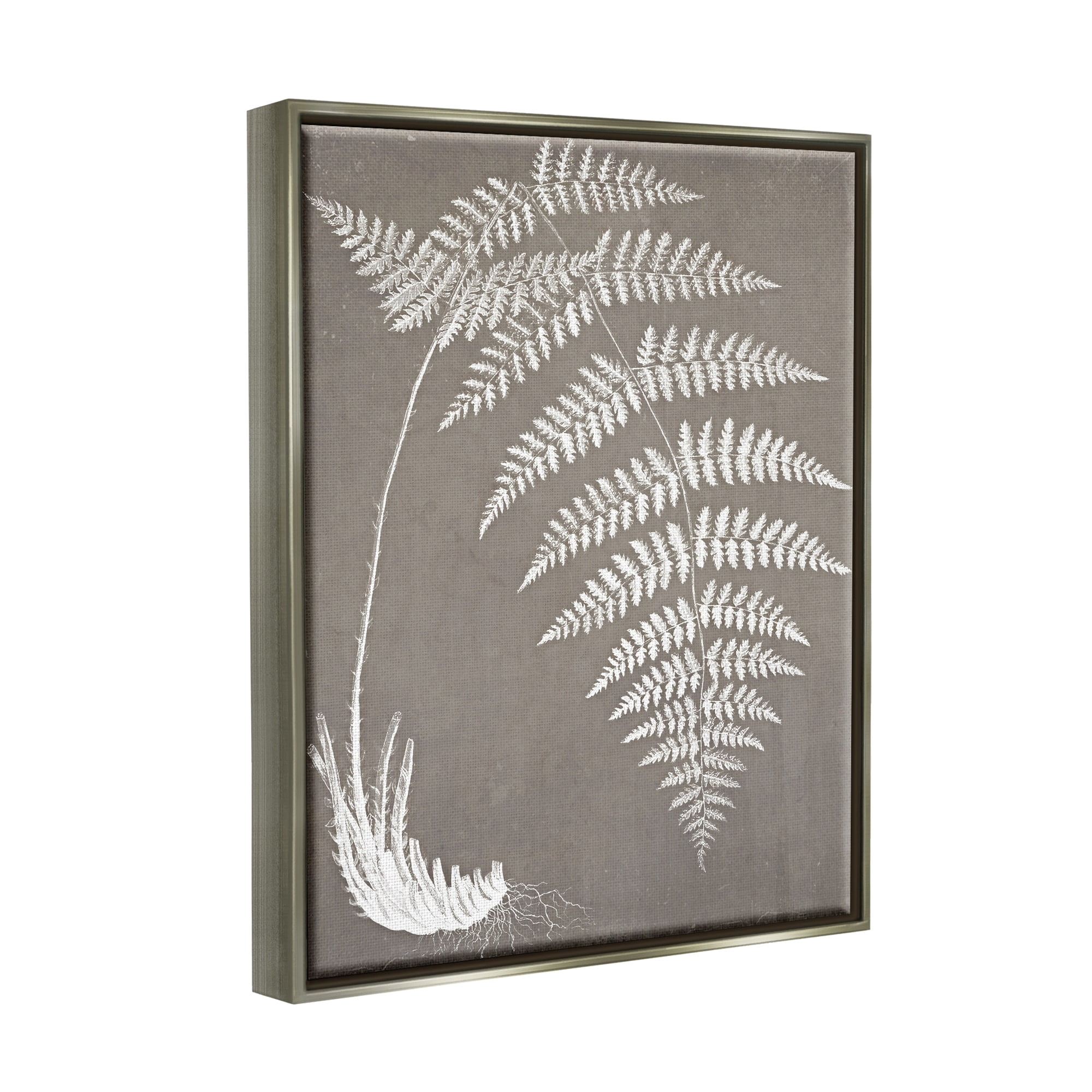 Stupell Industries Fern Leaves Roots Growing Botanicals Neutral Tones Graphic Art Luster Gray Floating Framed Canvas Print Wall Art, Design by Graffitee Studios